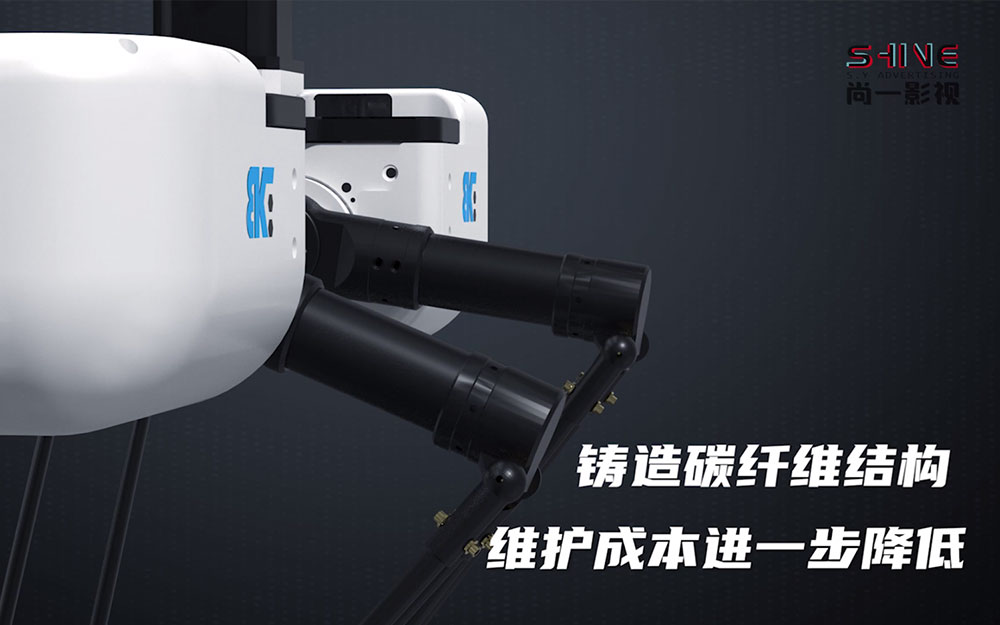 勃肯特三维视频